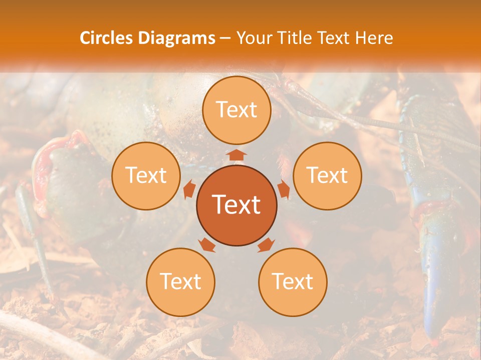 Sand Family Caucasian PowerPoint Template