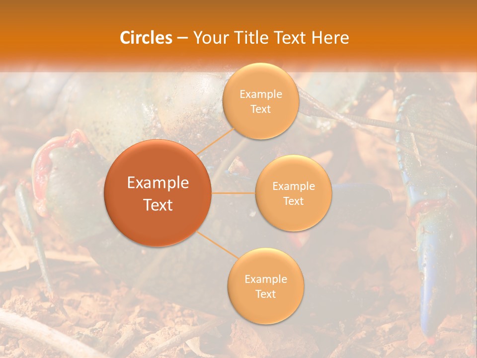 Sand Family Caucasian PowerPoint Template