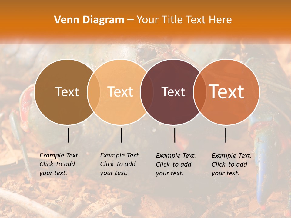 Sand Family Caucasian PowerPoint Template