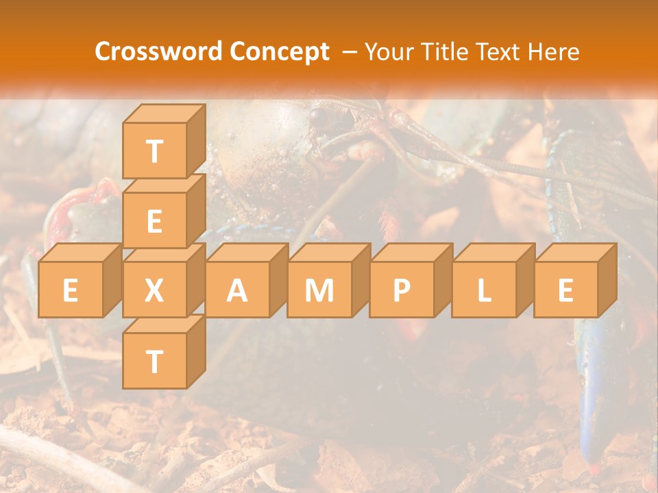 Sand Family Caucasian PowerPoint Template