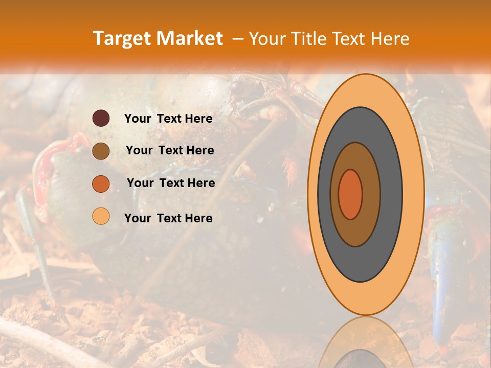 Sand Family Caucasian PowerPoint Template