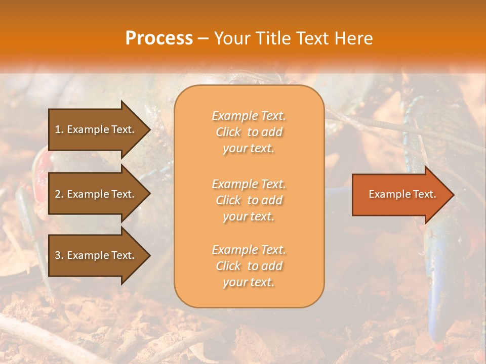 Sand Family Caucasian PowerPoint Template