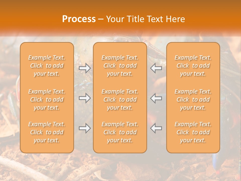 Sand Family Caucasian PowerPoint Template