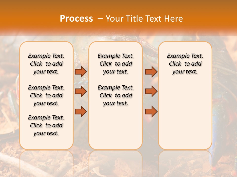 Sand Family Caucasian PowerPoint Template