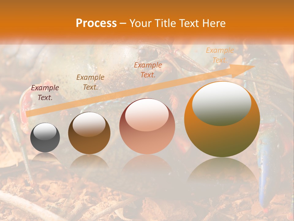 Sand Family Caucasian PowerPoint Template