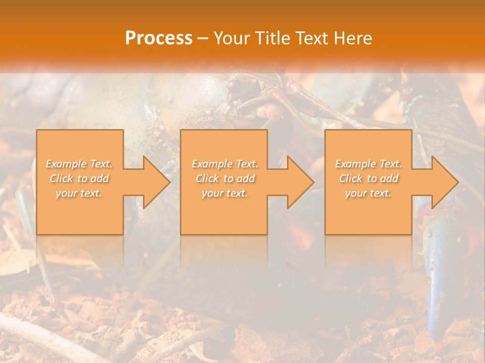 Sand Family Caucasian PowerPoint Template