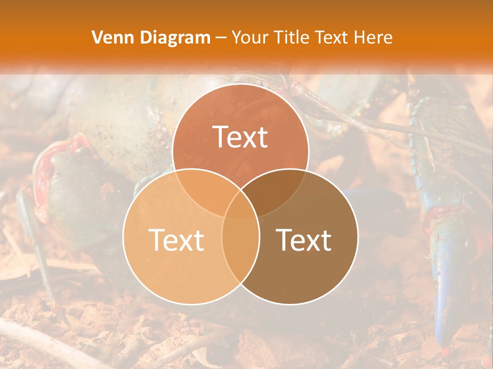 Sand Family Caucasian PowerPoint Template