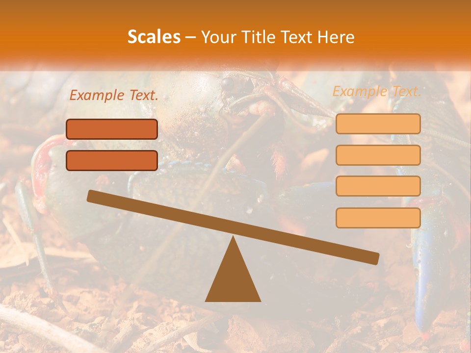 Sand Family Caucasian PowerPoint Template