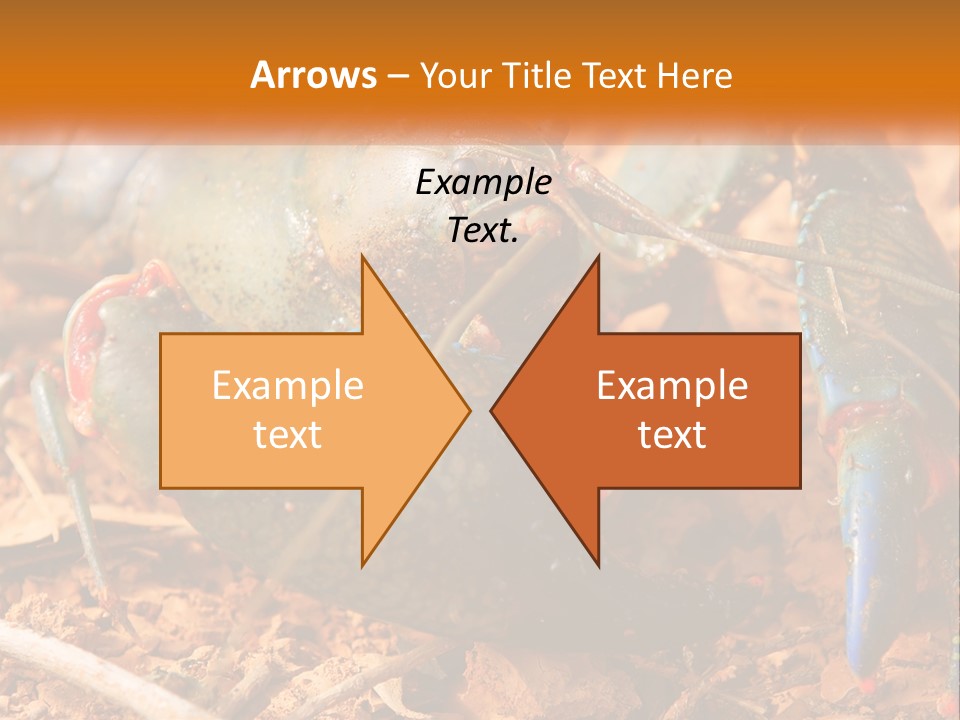 Sand Family Caucasian PowerPoint Template