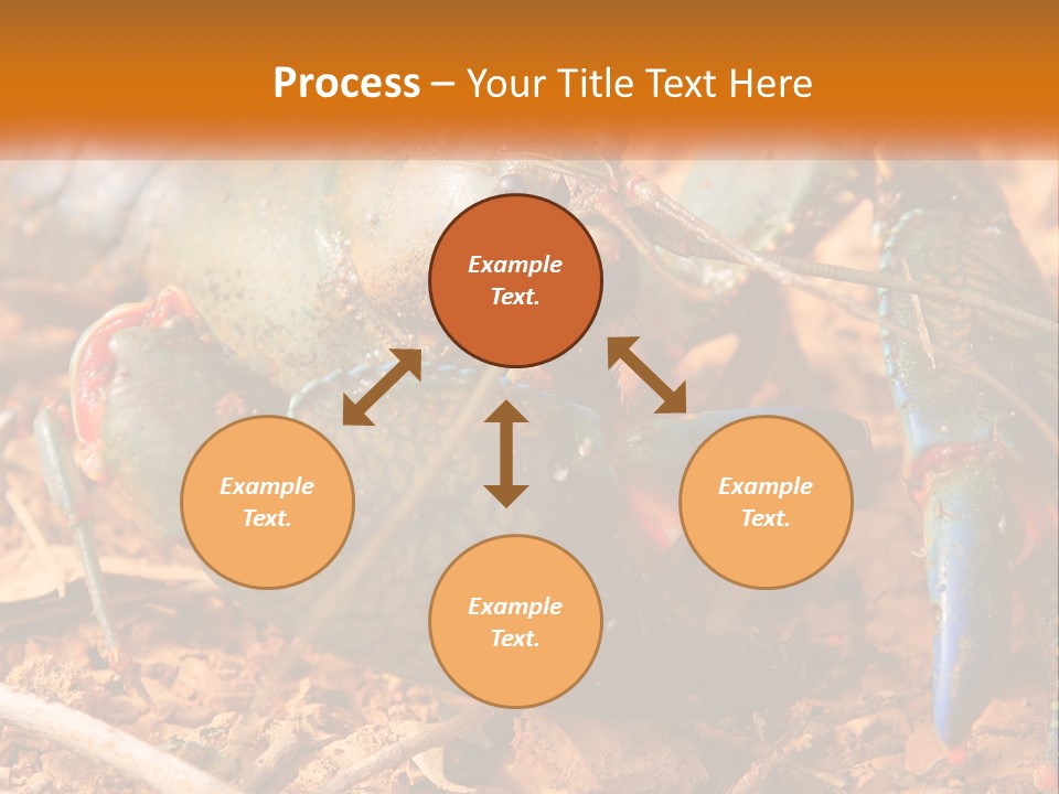 Sand Family Caucasian PowerPoint Template