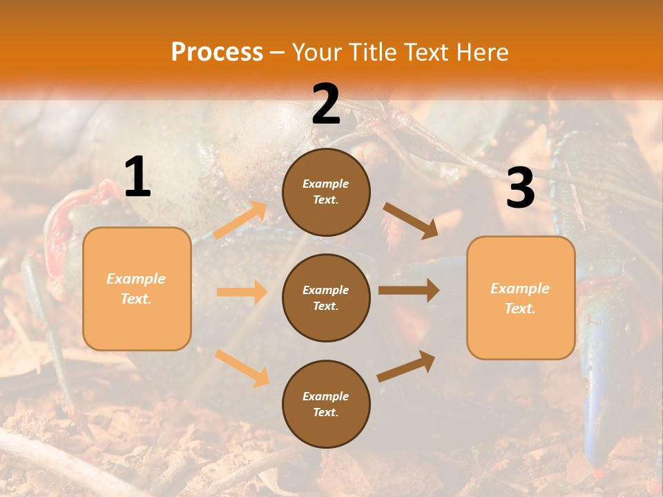 Sand Family Caucasian PowerPoint Template