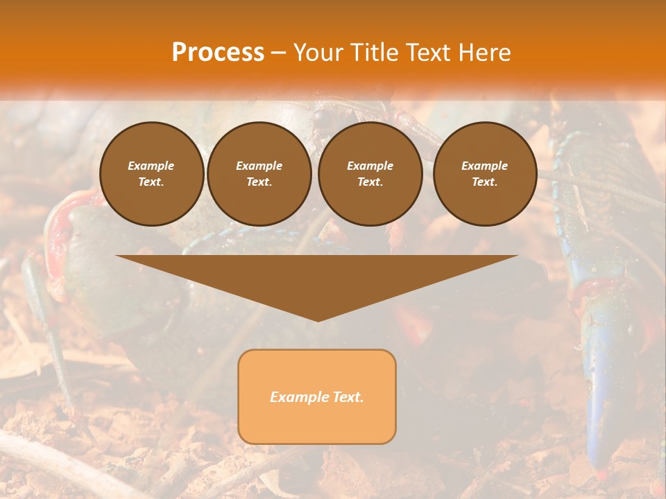 Sand Family Caucasian PowerPoint Template