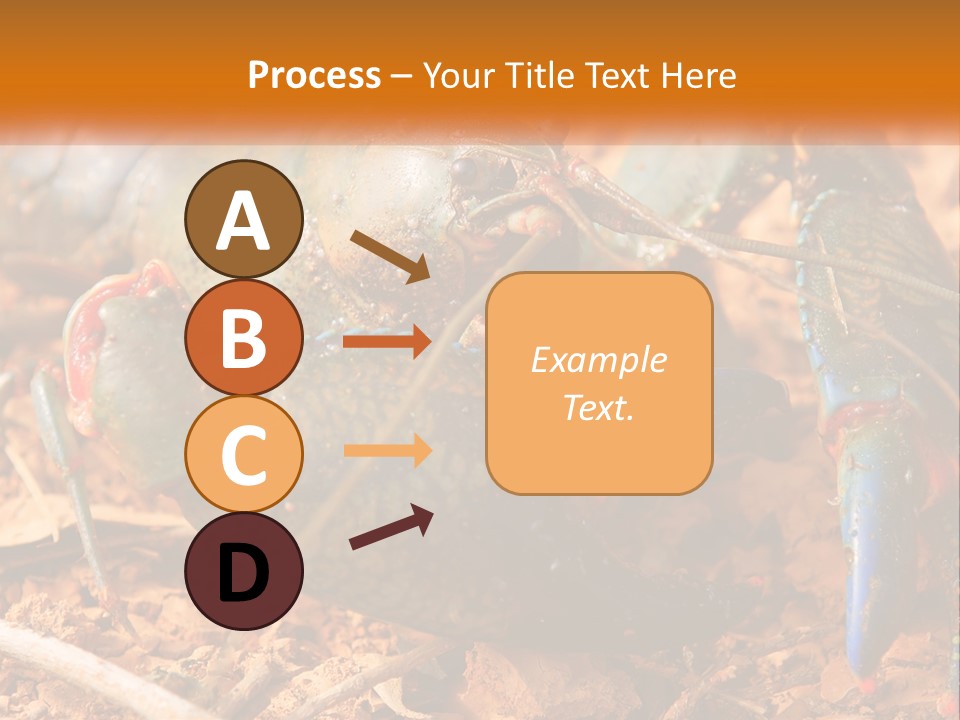 Sand Family Caucasian PowerPoint Template