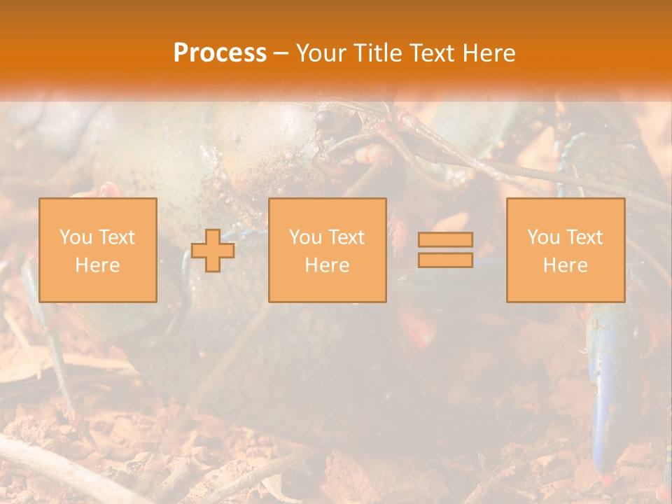 Sand Family Caucasian PowerPoint Template