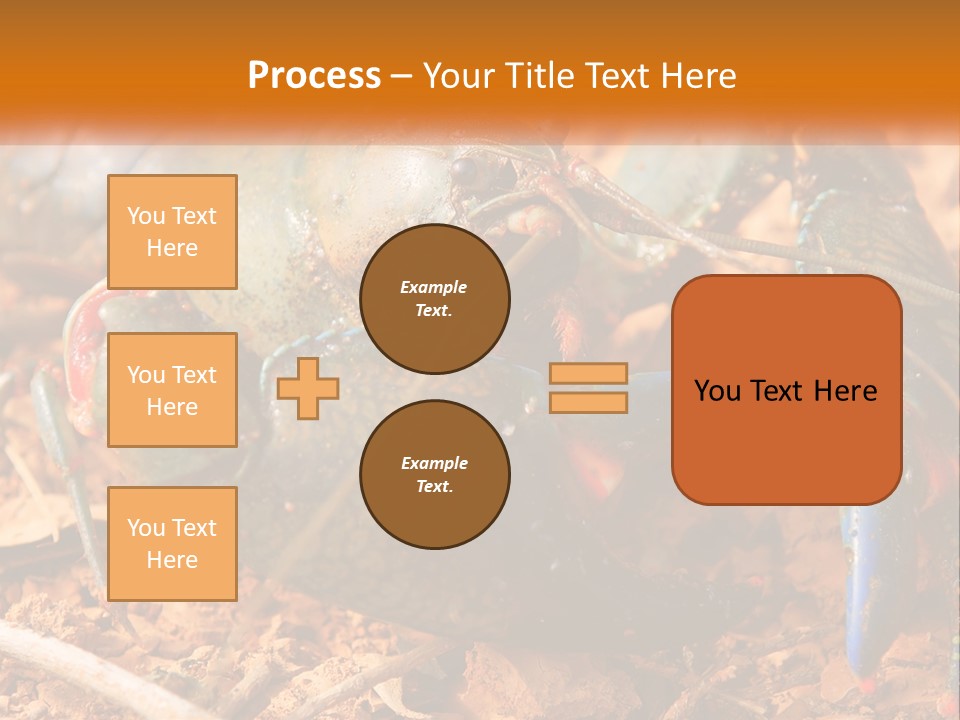 Sand Family Caucasian PowerPoint Template