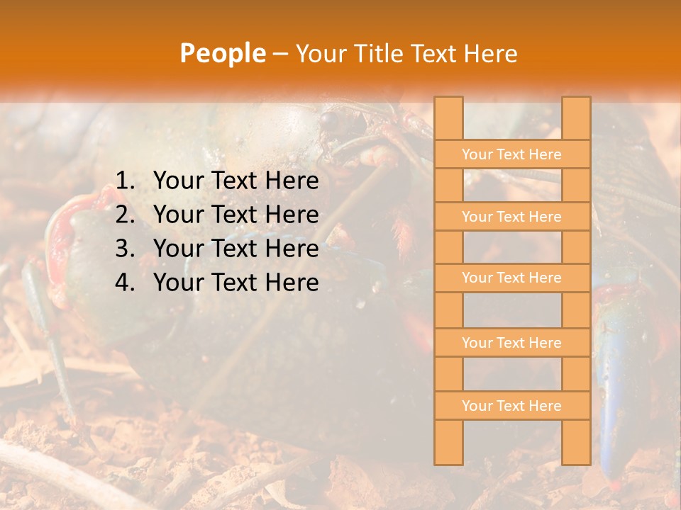 Sand Family Caucasian PowerPoint Template