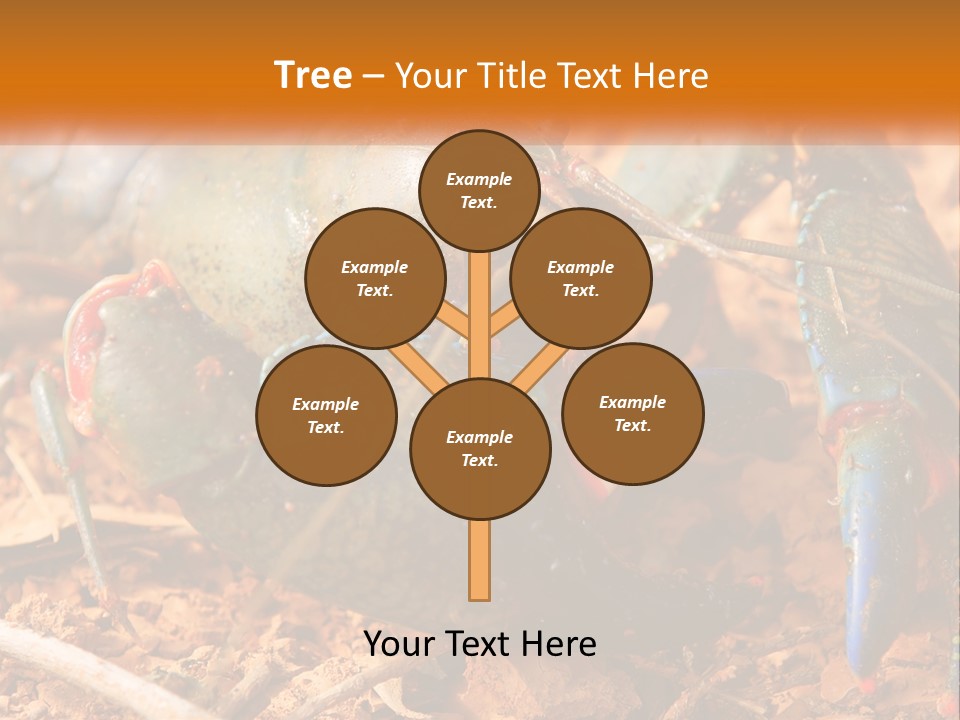 Sand Family Caucasian PowerPoint Template