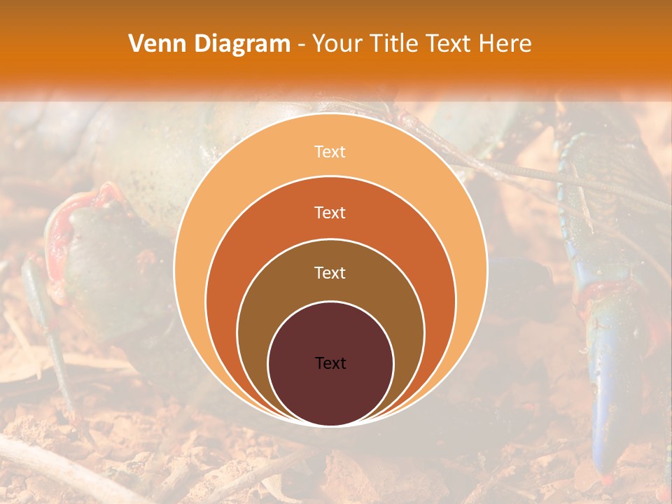 Sand Family Caucasian PowerPoint Template