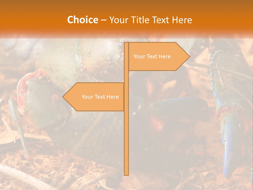 Sand Family Caucasian PowerPoint Template