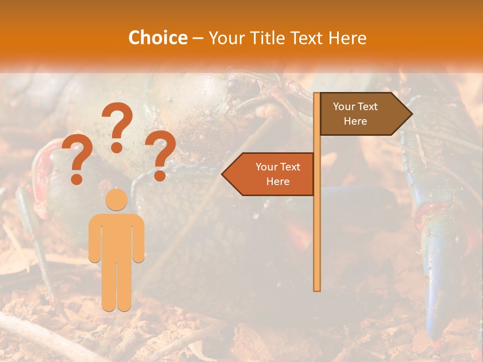 Sand Family Caucasian PowerPoint Template