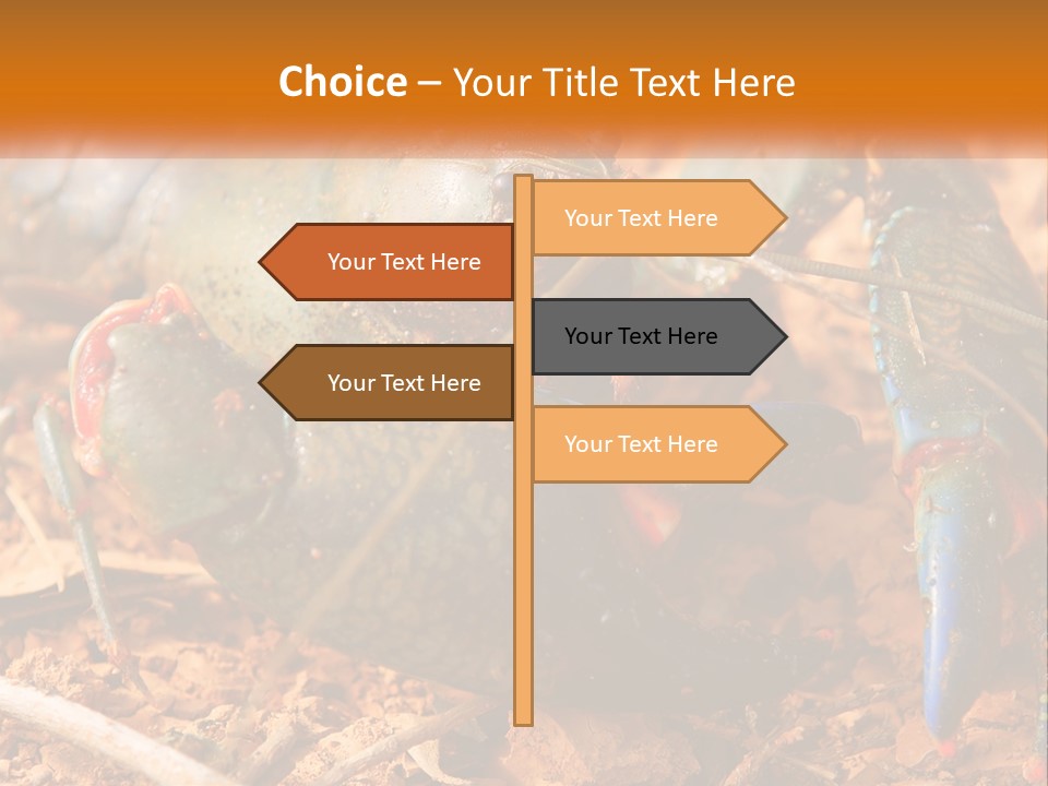 Sand Family Caucasian PowerPoint Template