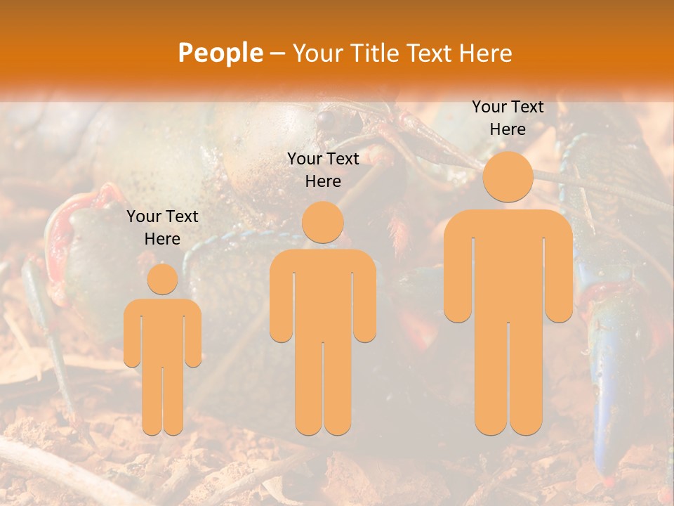 Sand Family Caucasian PowerPoint Template