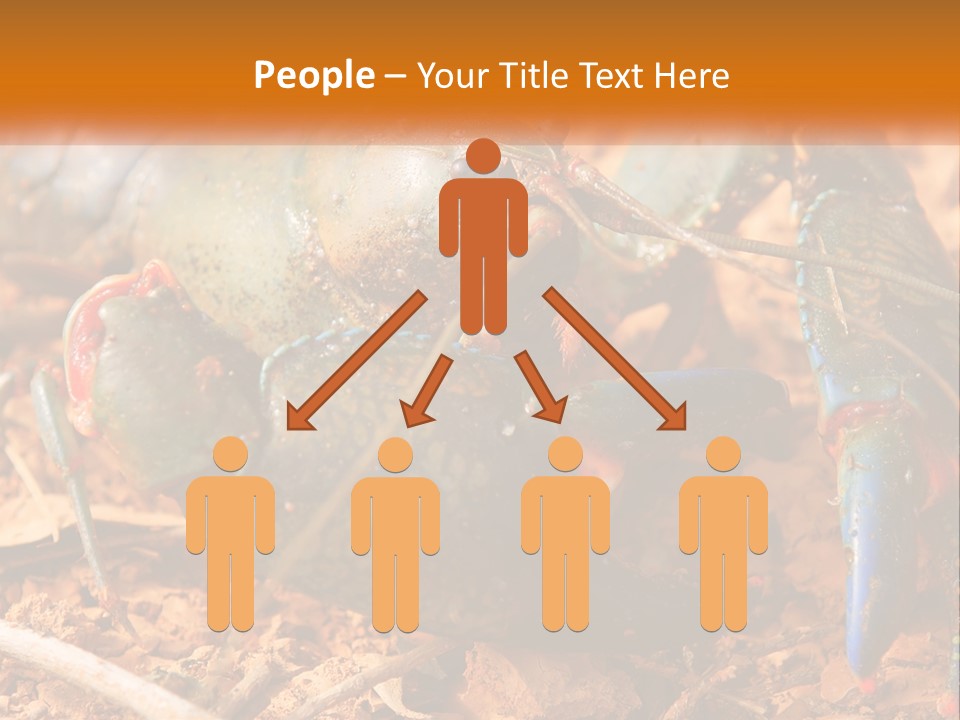 Sand Family Caucasian PowerPoint Template