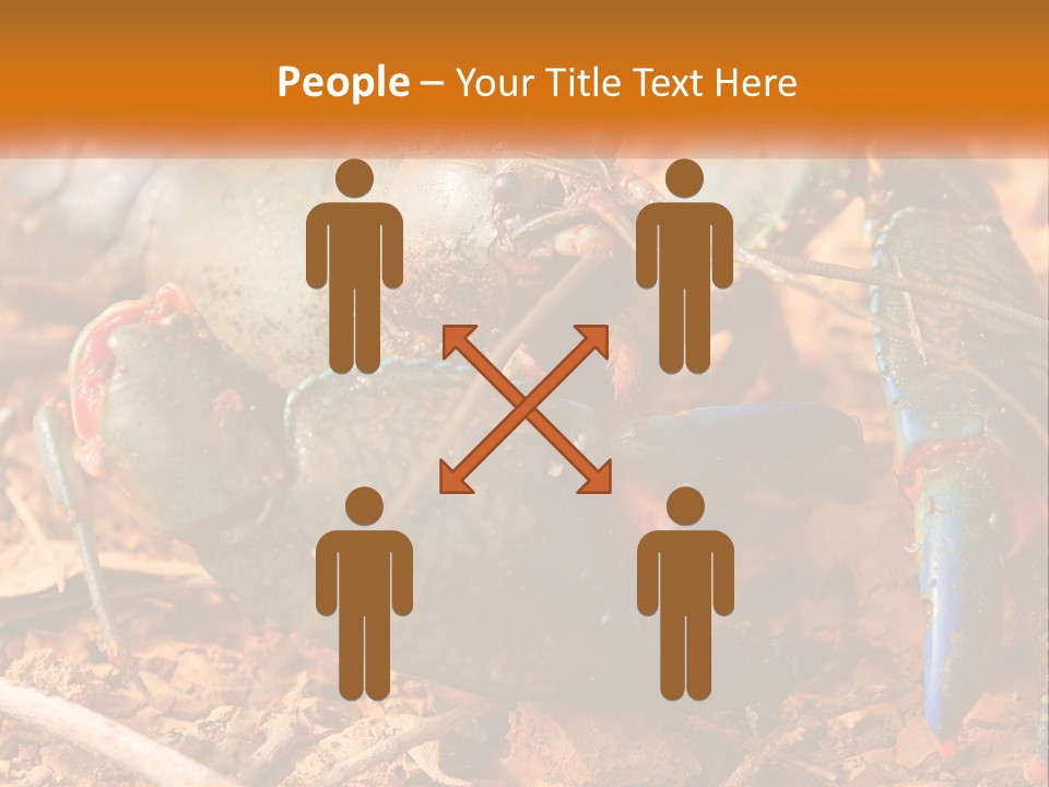 Sand Family Caucasian PowerPoint Template