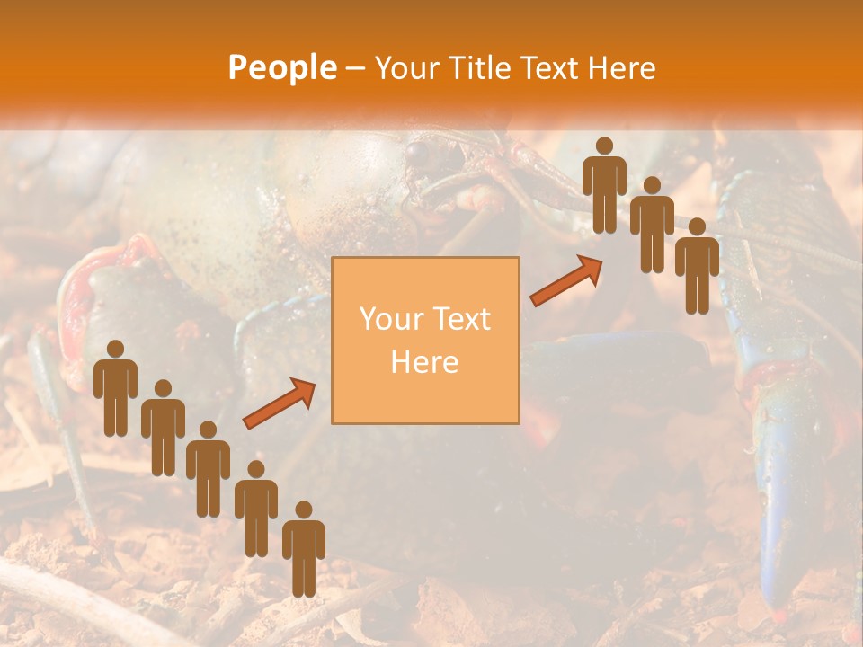 Sand Family Caucasian PowerPoint Template