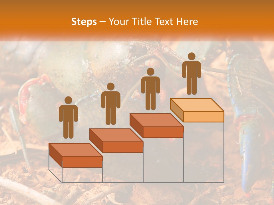 Sand Family Caucasian PowerPoint Template