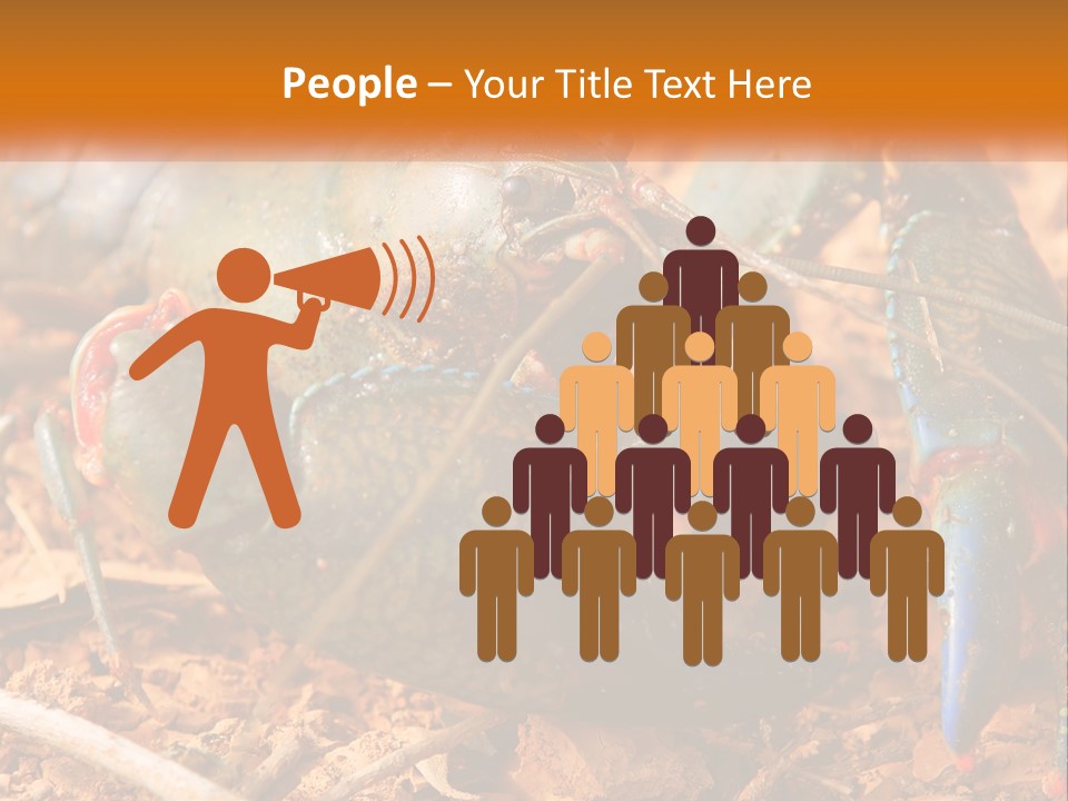 Sand Family Caucasian PowerPoint Template