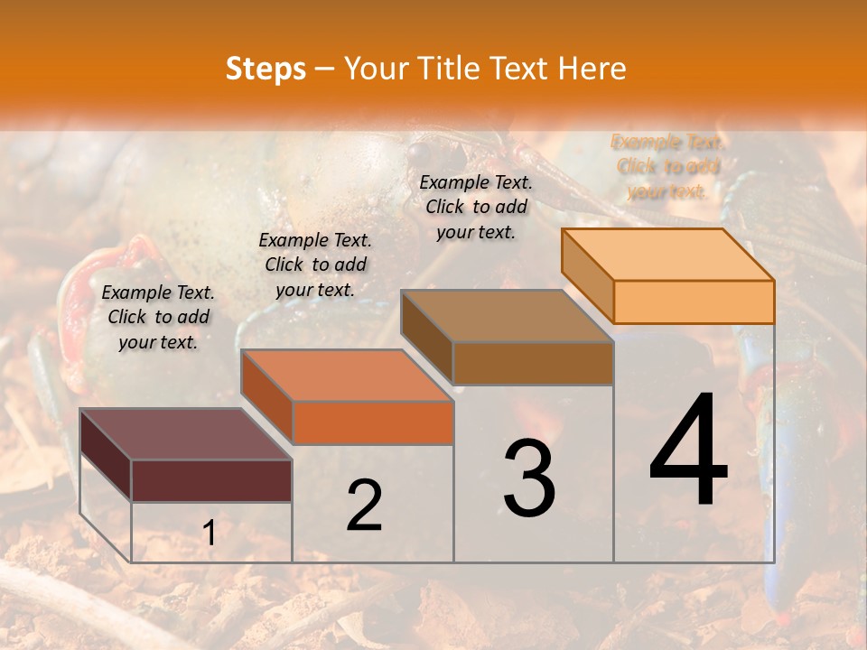 Sand Family Caucasian PowerPoint Template