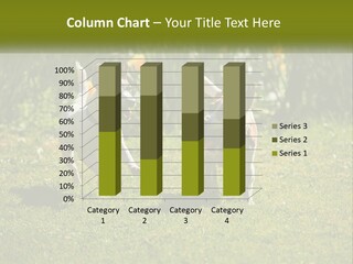 Parent Retired Retirement PowerPoint Template