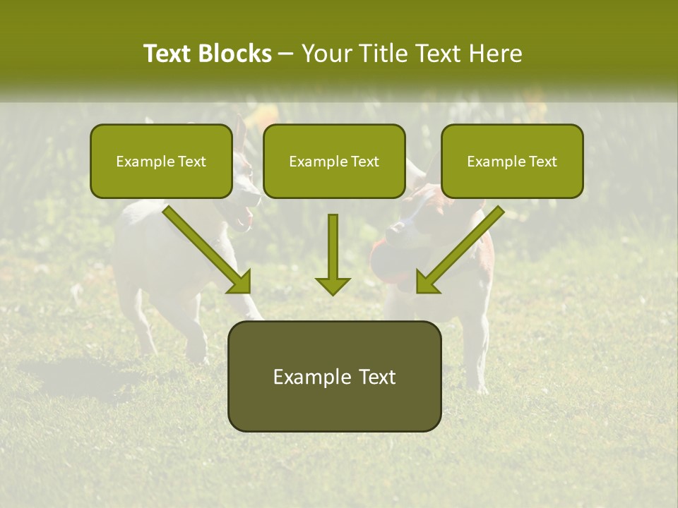 Parent Retired Retirement PowerPoint Template