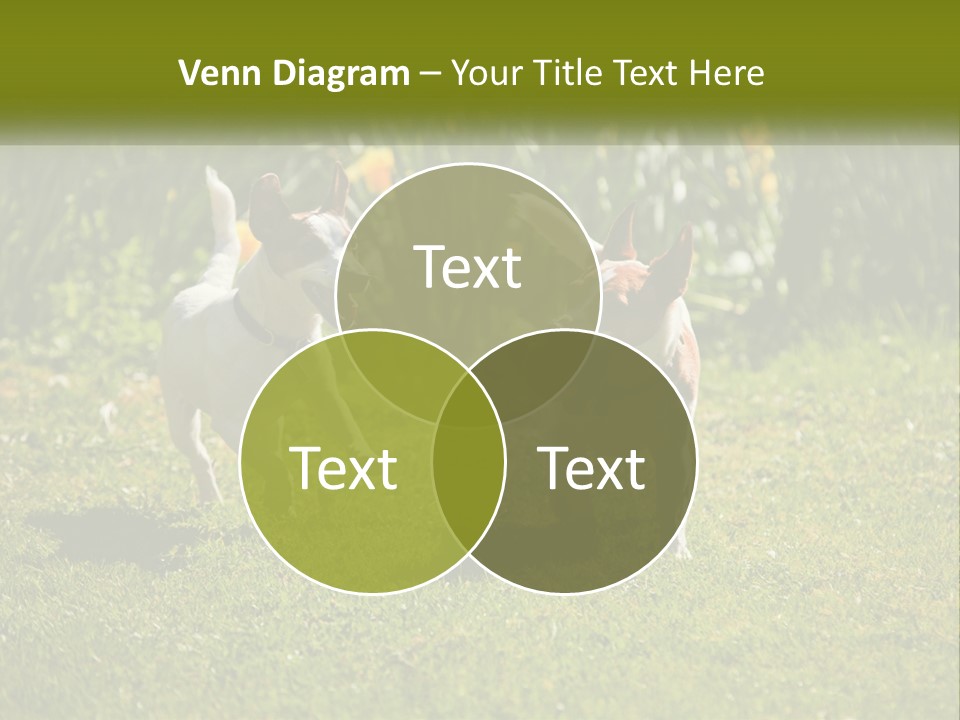 Parent Retired Retirement PowerPoint Template