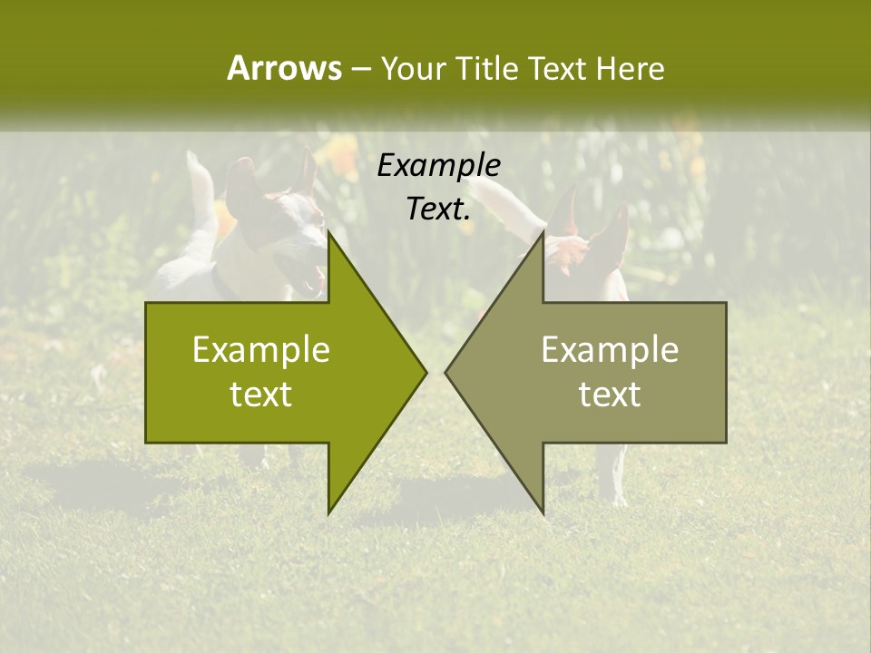 Parent Retired Retirement PowerPoint Template