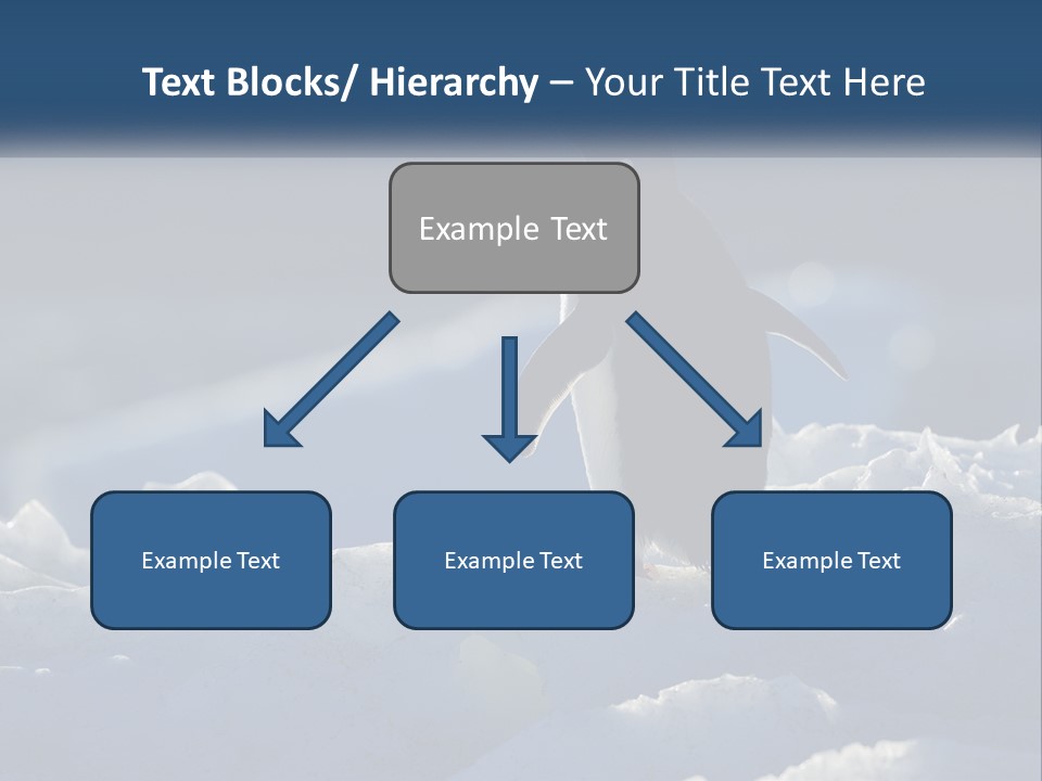 Single Sunrise Sea PowerPoint Template