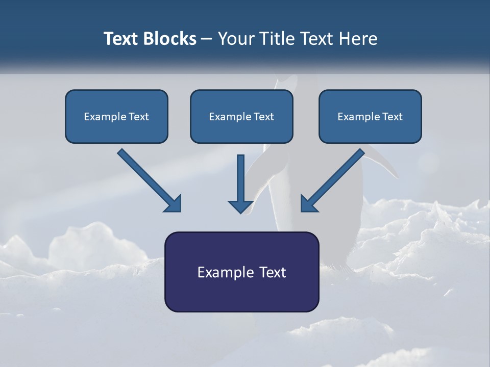 Single Sunrise Sea PowerPoint Template