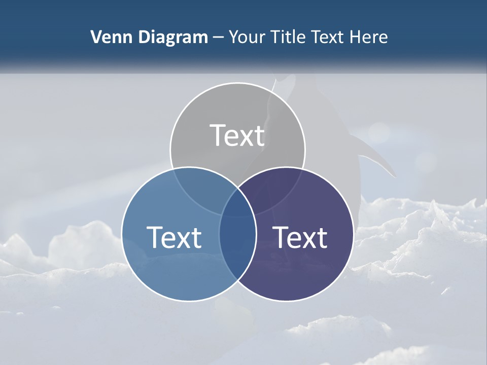 Single Sunrise Sea PowerPoint Template
