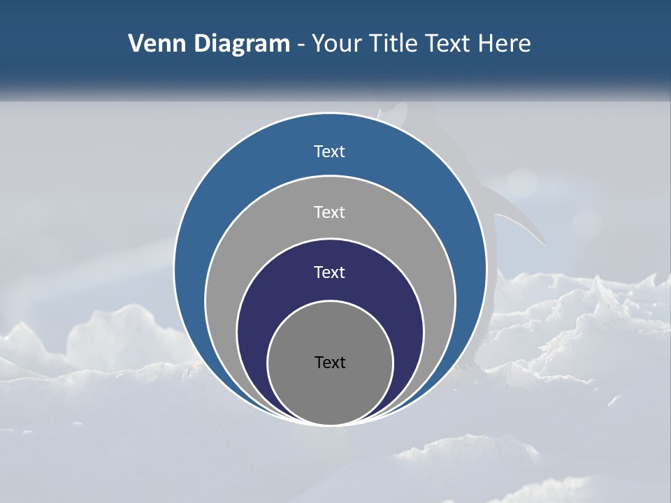 Single Sunrise Sea PowerPoint Template