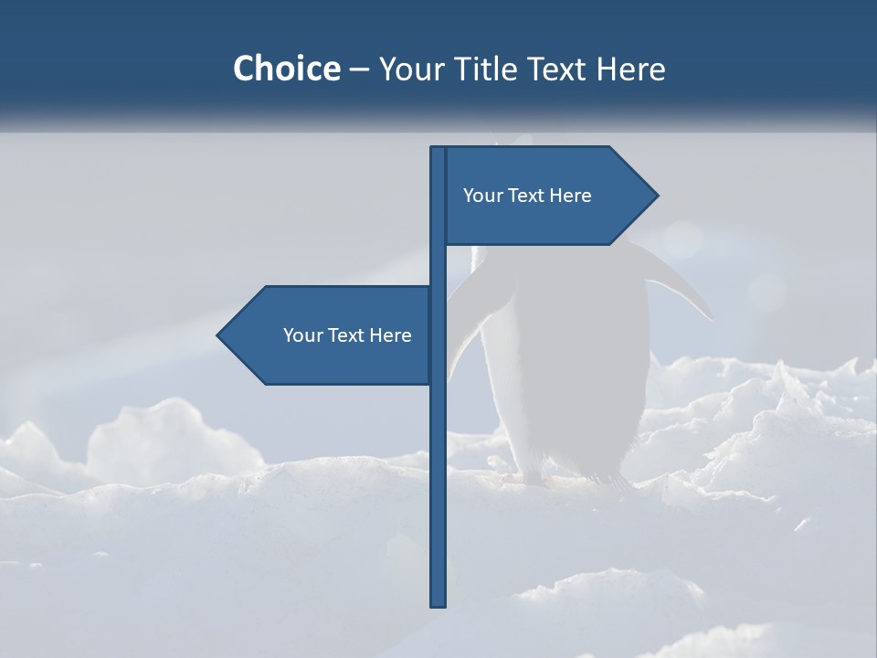 Single Sunrise Sea PowerPoint Template