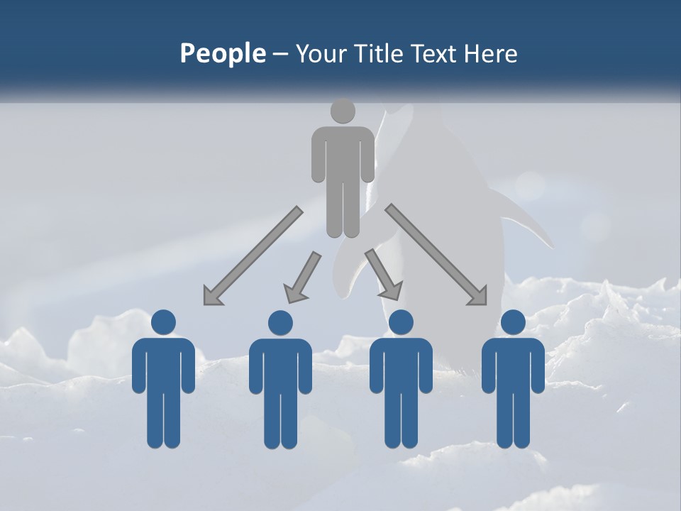 Single Sunrise Sea PowerPoint Template