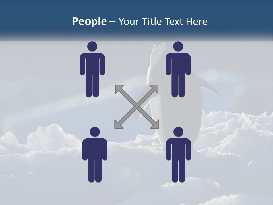 Single Sunrise Sea PowerPoint Template