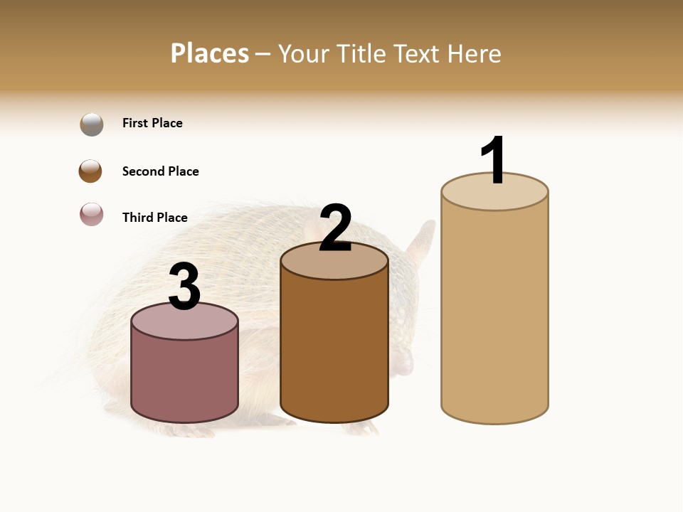 Standing Single Retired PowerPoint Template