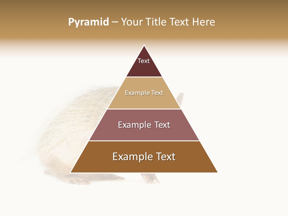 Standing Single Retired PowerPoint Template