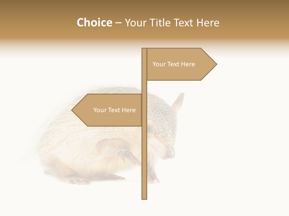 Standing Single Retired PowerPoint Template