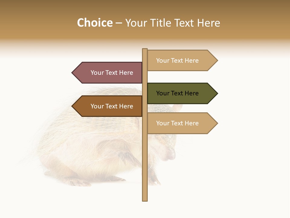 Standing Single Retired PowerPoint Template