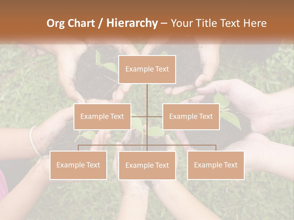 Sunrise Portrait Older PowerPoint Template