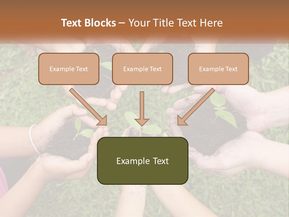 Sunrise Portrait Older PowerPoint Template