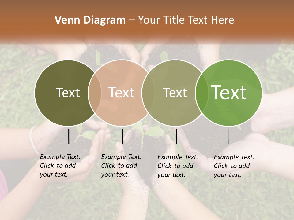 Sunrise Portrait Older PowerPoint Template